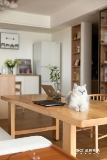 89㎡治愈系暖宅，客厅多功能、餐厅设吧台，两人一猫的理想生活！北欧客厅效果图
